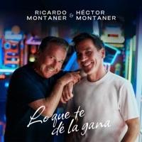 Thumbnail for the Ricardo Montaner - Lo Que Te De La Gana link, provided by host site