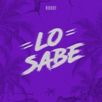 Thumbnail for the Robot95 - Lo Sabe link, provided by host site