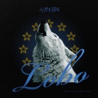Thumbnail for the AlbertNbn - Lobo link, provided by host site