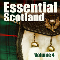 Thumbnail for the Celtic Spirit - Local Hero - Essential Mix link, provided by host site