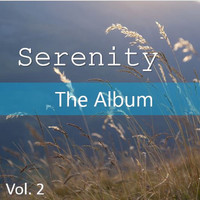 Thumbnail for the Celtic Spirit - Local Hero - Universal Mix link, provided by host site