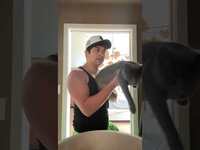 Thumbnail for the Austin Mahone - locked and loaded 🔥 #austinmahone #fameisagun #cat #funny #addisonrae link, provided by host site