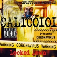 Thumbnail for the Calico 101 - Locked Down link, provided by host site