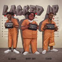 Thumbnail for the DJ Sound - Locked Up link, provided by host site