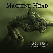 Thumbnail for the Machine Head - Locust link, provided by host site