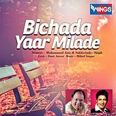 Thumbnail for the Sukhwinder Singh - Log Milte Hain link, provided by host site