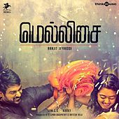 Image of Andrea Jeremiah linking to their artist page due to link from them being at the top of the main table on this page