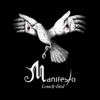 Thumbnail for the Manifesto - Lonely Bird link, provided by host site