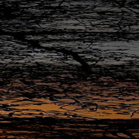 Thumbnail for the Riff - Lonely In The Tree link, provided by host site
