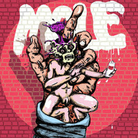 Image of Mole linking to their artist page due to link from them being at the top of the main table on this page