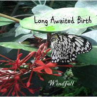 Thumbnail for the Windfall - Long Awaited Birth link, provided by host site