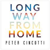 Thumbnail for the Peter Cincotti - Long Way from Home link, provided by host site
