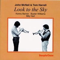 Thumbnail for the John McNeil - Look to the Sky link, provided by host site