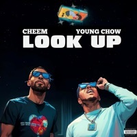 Thumbnail for the DJ CHEEM - Look Up link, provided by host site
