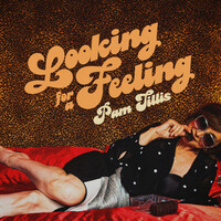 Thumbnail for the Pam Tillis - Looking for a Feeling link, provided by host site
