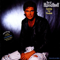 Thumbnail for the David Hasselhoff - Looking For Freedom link, provided by host site