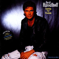 Thumbnail for the David Hasselhoff - Looking for Freedom link, provided by host site