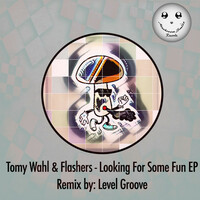 Thumbnail for the Flashers - Looking For Some Fun - Level Groove Remix link, provided by host site