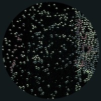 Image of Sleeparchive linking to their artist page due to link from them being at the top of the main table on this page