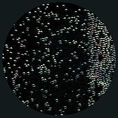 Thumbnail for the Sleeparchive - Loop 1 link, provided by host site