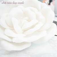 Thumbnail for the Sleep Sound Library - Loopable White Noise Sleep Sounds link, provided by host site