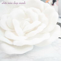 Thumbnail for the White Noise Sleep Sounds - Loopable White Noise Sleep Sounds link, provided by host site