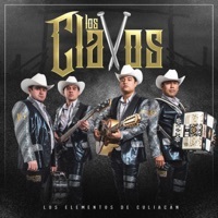 Thumbnail for the Los Elementos de Culiacan - Los Clavos link, provided by host site