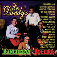 Image of Los Dandy's linking to their artist page due to link from them being at the top of the main table on this page