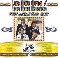 Thumbnail for the Los Dos Oros - Los Dos Oros / Los Dos Reales - Feria Mexicana link, provided by host site