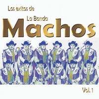 Thumbnail for the Banda Machos - Los Exitos De La Banda Machos, Vol. 1 link, provided by host site