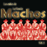 Thumbnail for the Banda Machos - Los Exitos De La Banda Machos, Vol. 2 link, provided by host site