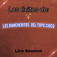 Thumbnail for the Los Rancheritos del Topo Chico - Los Éxitos De: (Live Session) link, provided by host site