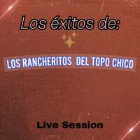 Thumbnail for the Los Rancheritos del Topo Chico - Los Éxitos De: (Live Session) link, provided by host site