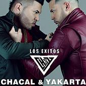 Thumbnail for the Chacal Y Yakarta - Los Exitos link, provided by host site