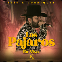 Thumbnail for the Luis R Conriquez - Los Pajaros (En Vivo) link, provided by host site
