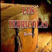 Thumbnail for the Los Terricolas - Los Terricolas en Vivo link, provided by host site