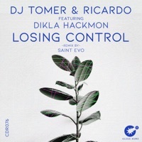 Thumbnail for the DJ Tomer - Losing Control link, provided by host site