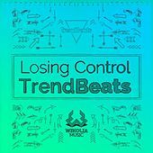 Thumbnail for the TrendBeats - Losing Control link, provided by host site