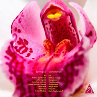 Thumbnail for the Peter W - Losing Control - Original Mix link, provided by host site