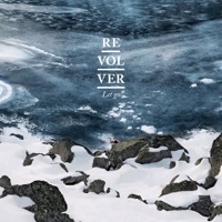 Thumbnail for the Revolver - Losing You link, provided by host site