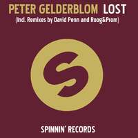 Thumbnail for the Peter Gelderblom - Lost link, provided by host site