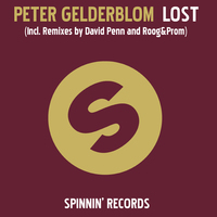 Image of Peter Gelderblom linking to their artist page due to link from them being at the top of the main table on this page
