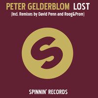 Thumbnail for the Peter Gelderblom - Lost link, provided by host site