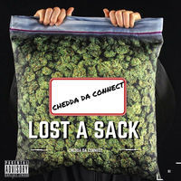 Thumbnail for the Chedda Da Connect - Lost a Sack link, provided by host site