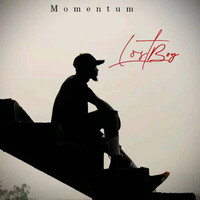 Thumbnail for the Momentum - Lost Boy link, provided by host site