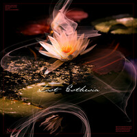 Thumbnail for the Nimbus - Lost Esthesia link, provided by host site