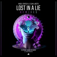 Thumbnail for the Nigel Stately - Lost in a Lie (Mate Remix) link, provided by host site