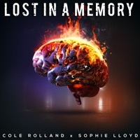 Thumbnail for the Cole Rolland - Lost In a Memory link, provided by host site