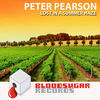 Thumbnail for the Peter Pearson - Lost in a Summer Haze link, provided by host site