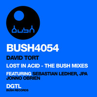 Thumbnail for the David Tort - Lost in Acid (The Bush Mixes) link, provided by host site